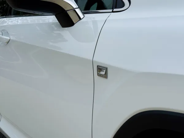 2018 Lexus RX450H F SPORTS  — photo